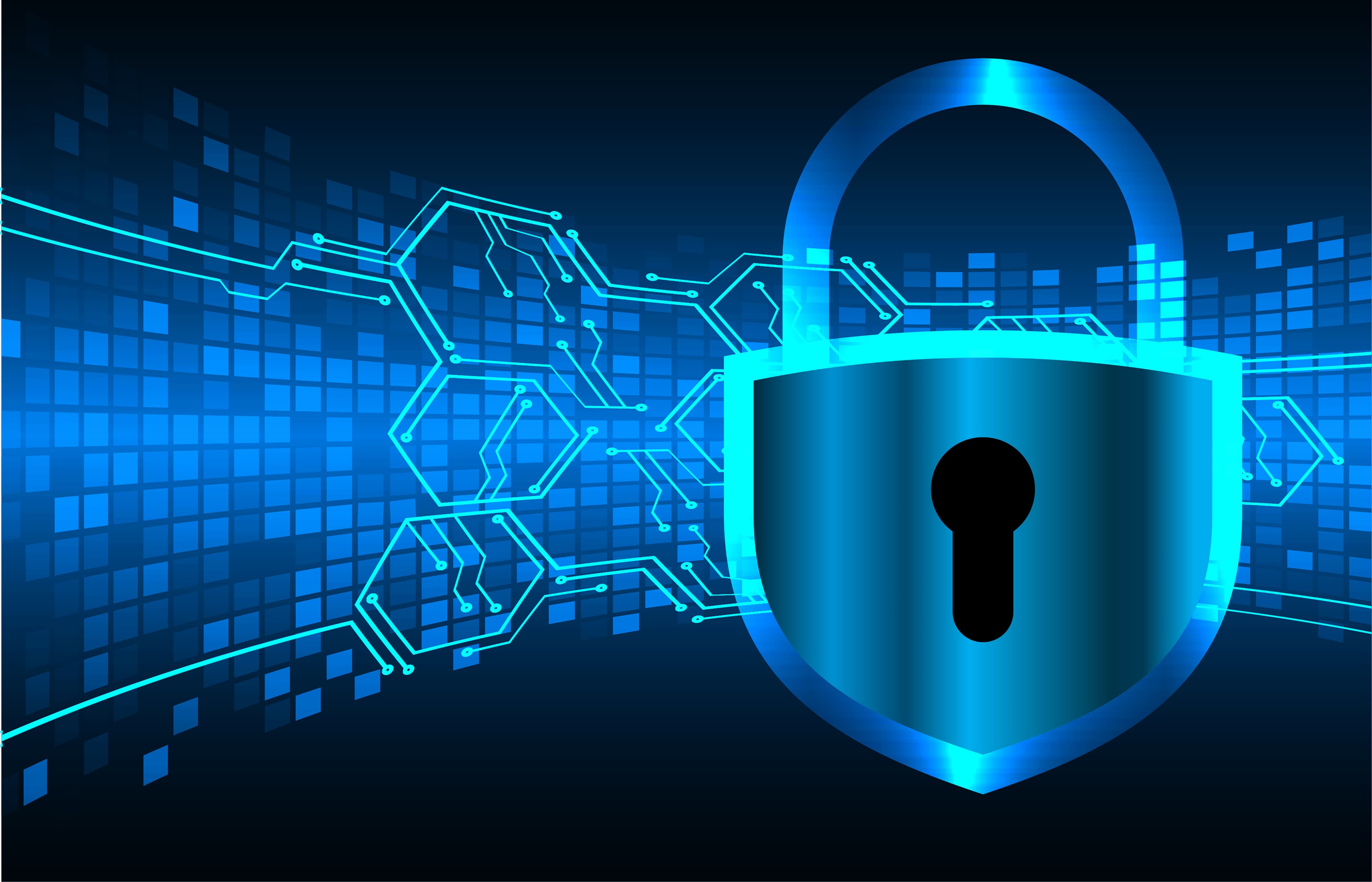 VaultKey protecting original values